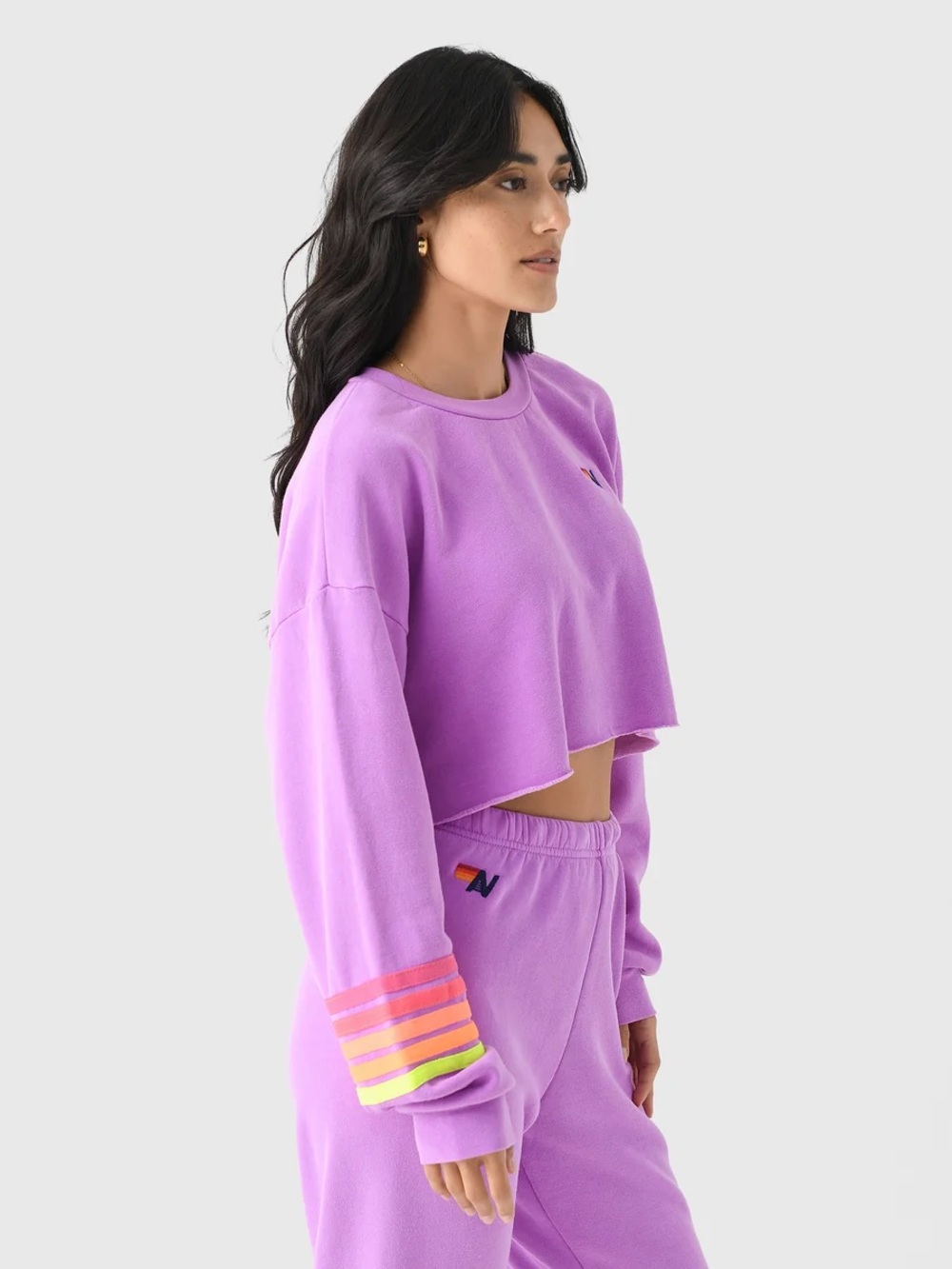 Aviator Nation Rugby Stitch Cropped Crewneck Sweatshirt Neon Purple Large - Picture 2 of 12